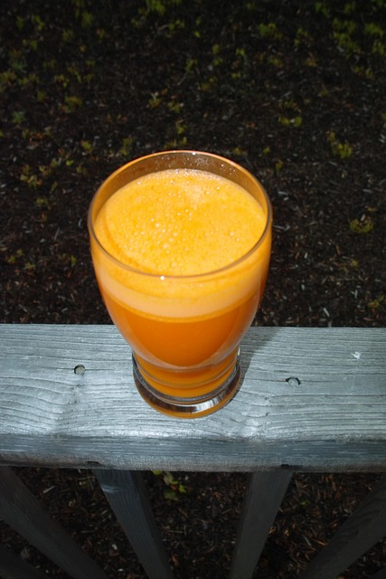 Free Carrot Juice Glass photo and picture