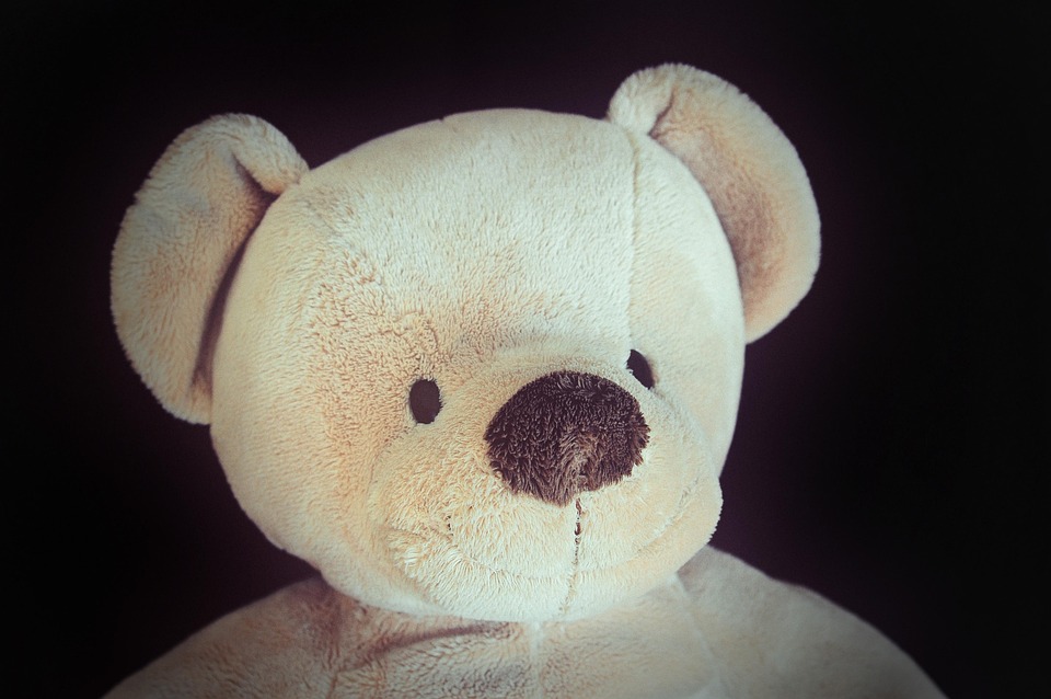 Teddy Bear Soft Cuddly - Free photo on Pixabay - Pixabay