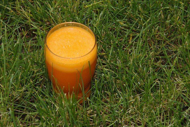 Free Carrot Juice Glass photo and picture