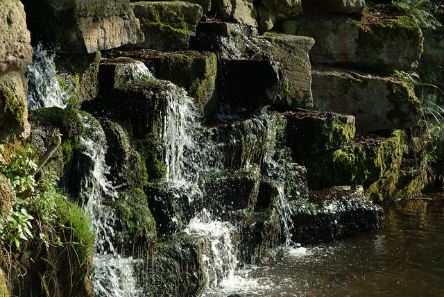 Free Water Waterfall photo and picture