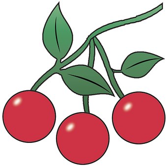 Free Cherries Fruit illustration and picture
