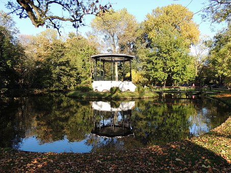 Agua, Verde, Parque, Natureza
