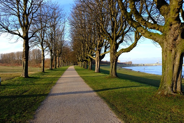 Free Neuss Rhine photo and picture