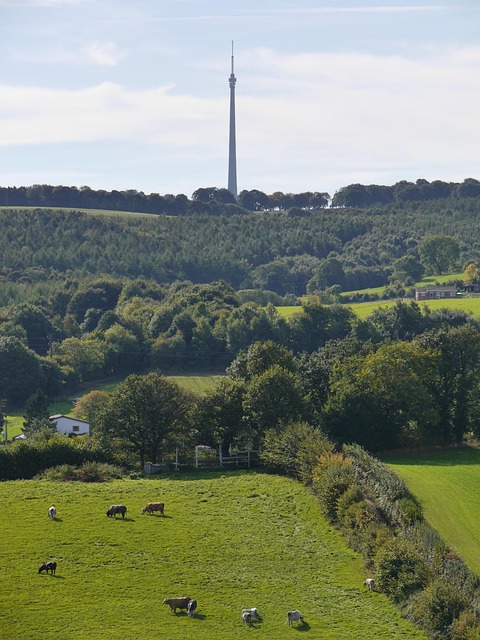 Free Emley Moor Tv Mast photo and picture