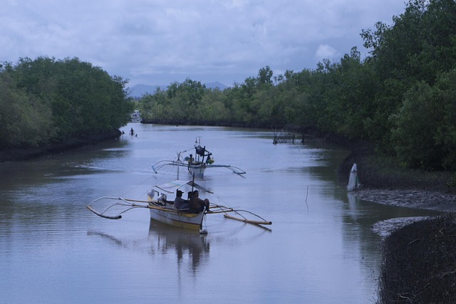 Free Philippine Fisherman photo and picture