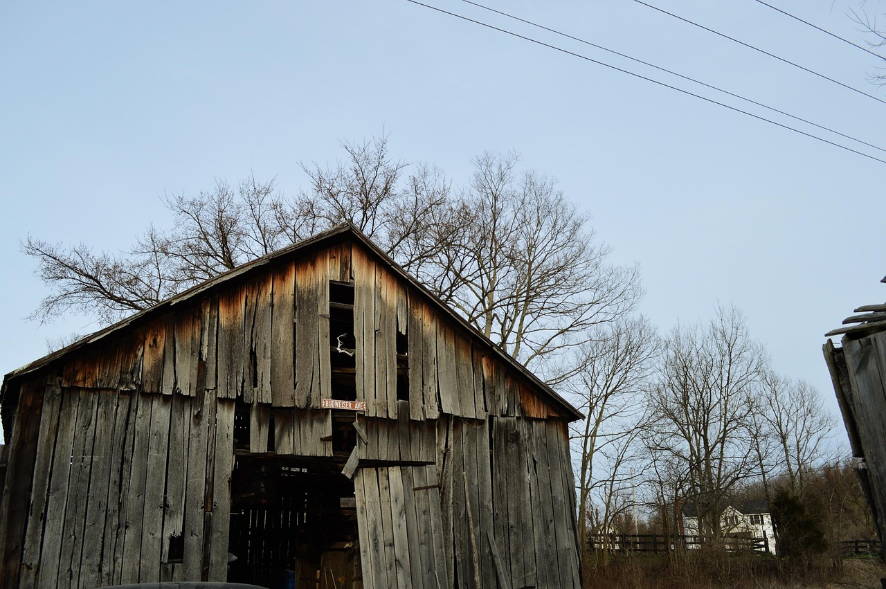 Barn Kentucky Budweiser Bird - Free photo on Pixabay - Pixabay