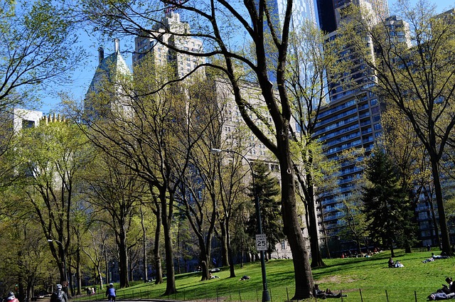 Free Central Park New York photo and picture