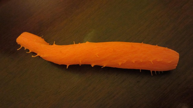 Free Carrot Vegetable photo and picture