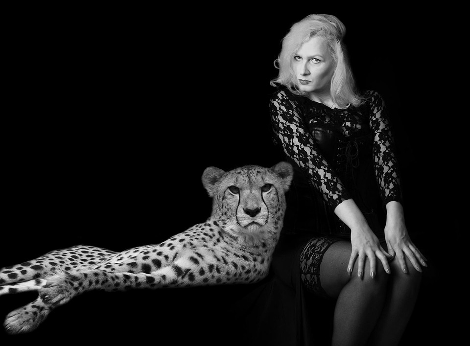 mulher leopardo homem e animal foto gratuita no pixabay