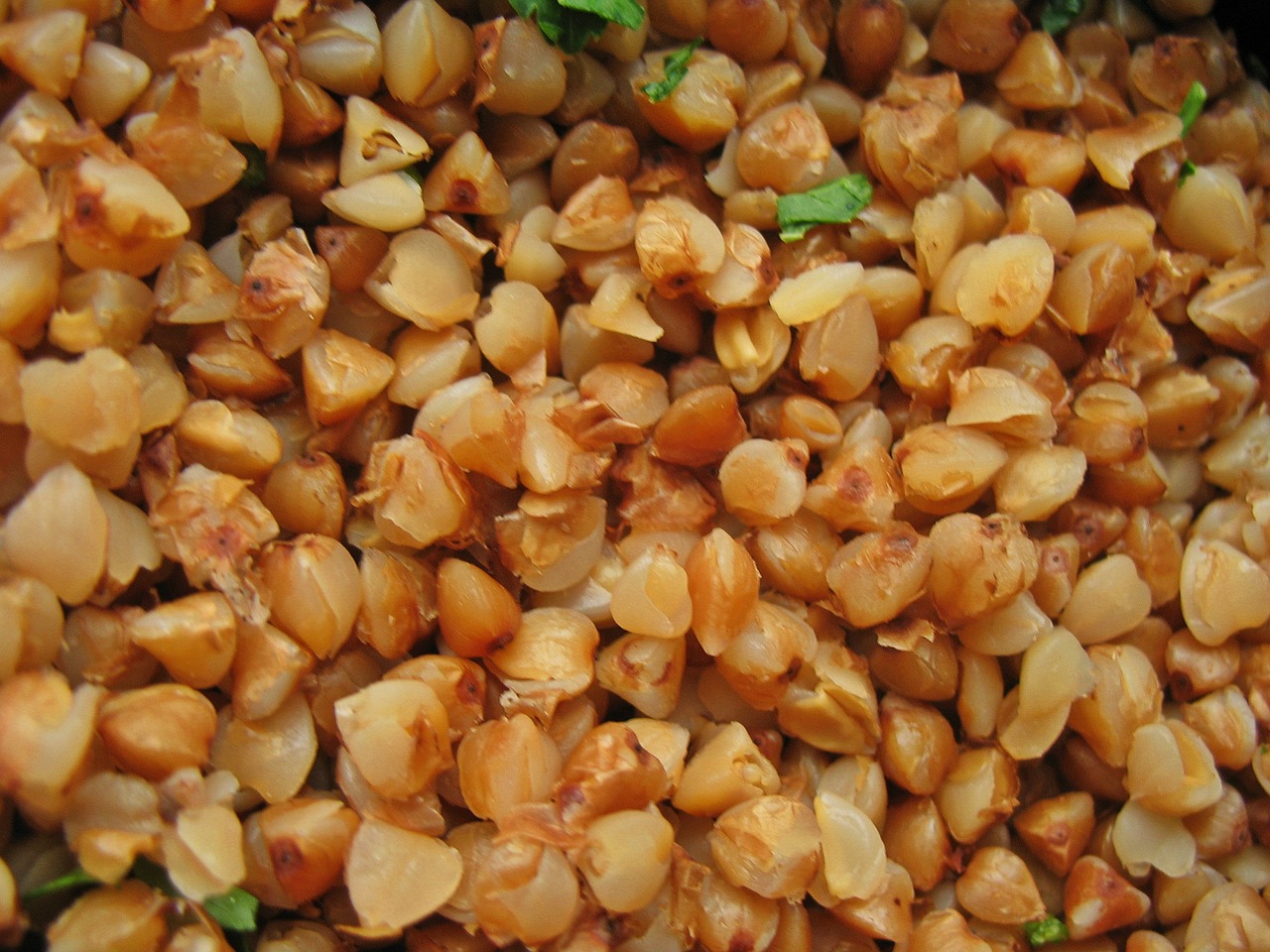 Buckwheat - Free photo on Pixabay - Pixabay