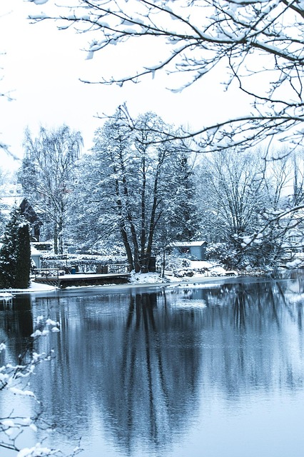 Free Winter Snow photo and picture