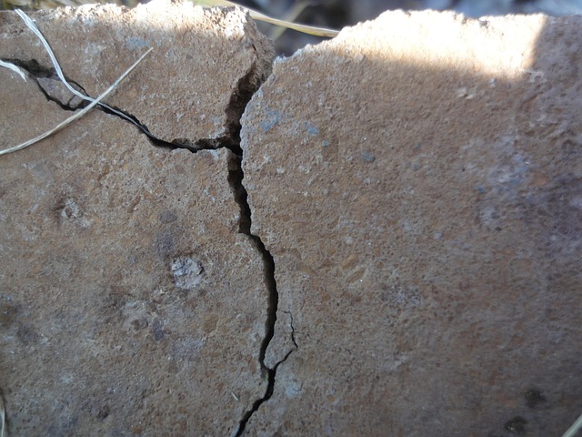 Free Split Cracked photo and picture