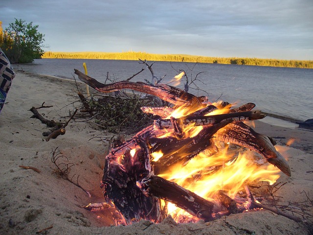 Free Fire Camping photo and picture