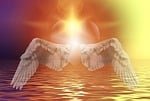 heart, wing, star