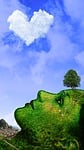 nature, mother earth, landscape