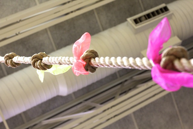 Free Climbing Rope photo and picture
