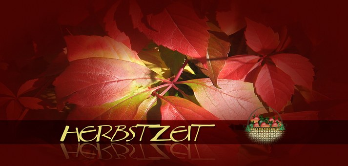 Free Fall Autumn Time illustration and picture