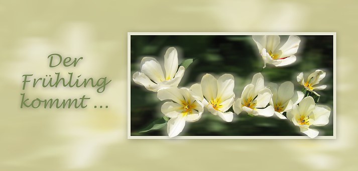 Free Spring Lenz illustration and picture