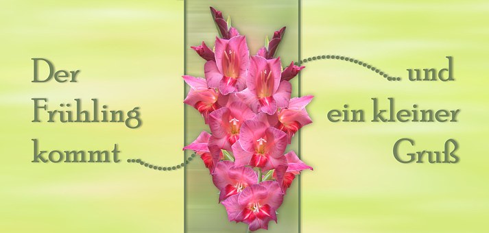 Free Spring Spring Is Coming illustration and picture