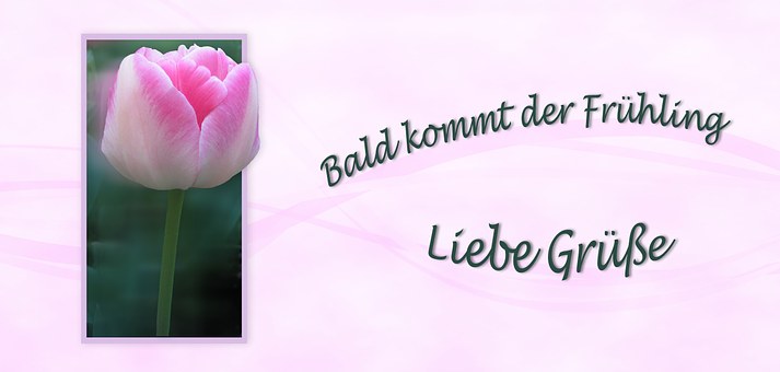Free Spring Lenz illustration and picture