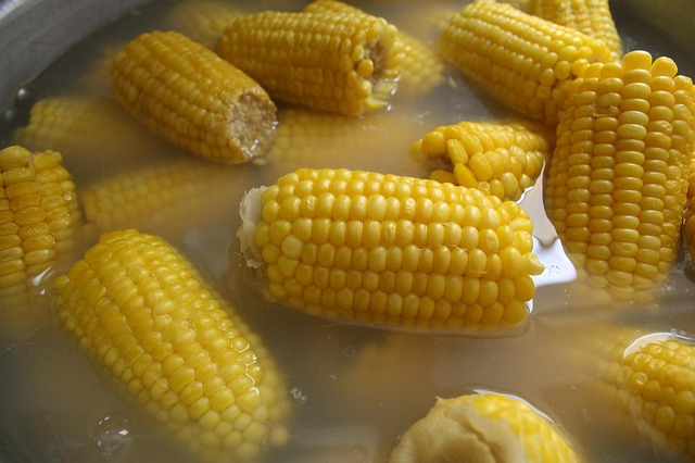 Free Corn Food photo and picture