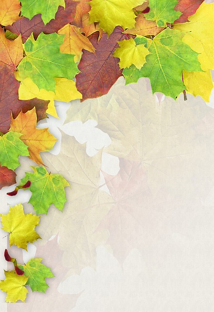 Download free HD stock image of Leaves Multicoloured Free leaves multicoloured fall illustration