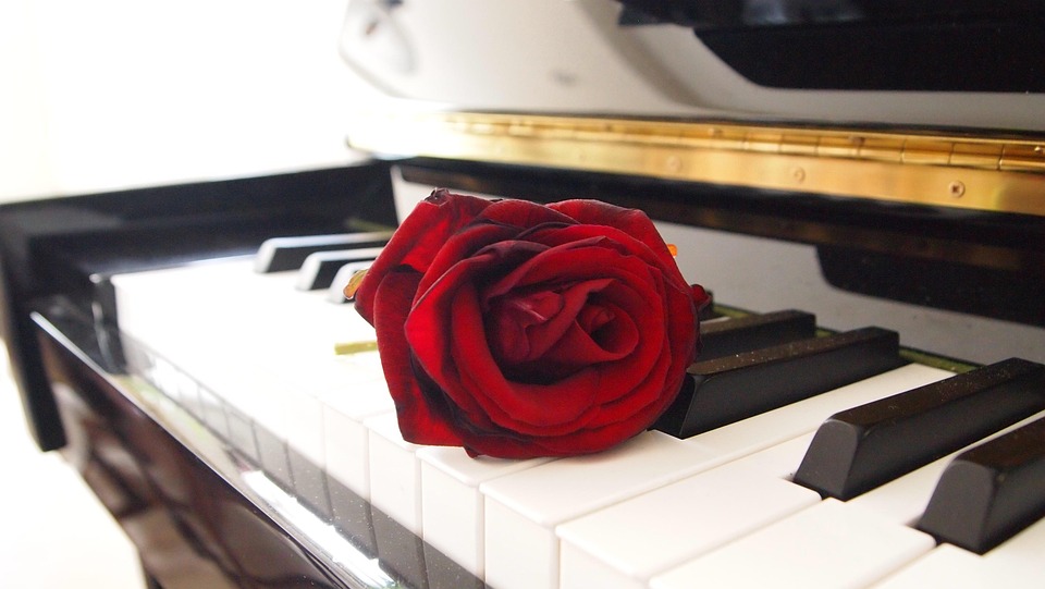 Kostenloses foto: rose, klavier, wohnzimmer kostenloses bild auf ...