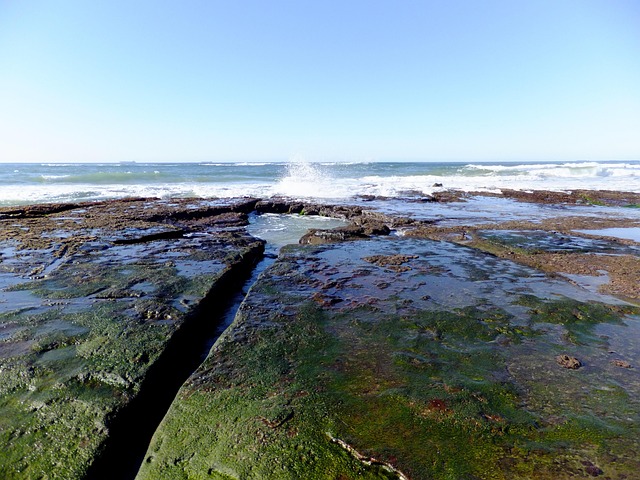 Strand, Felsen, Surfen, Ozean, Natur