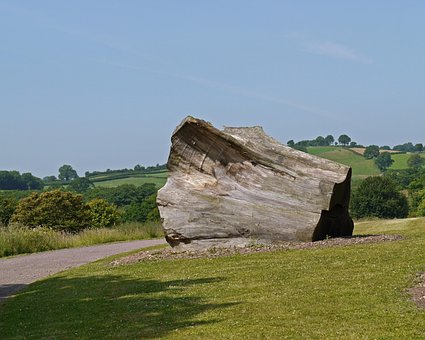 Free National Botanic Garden Of Wales Tree photo and picture