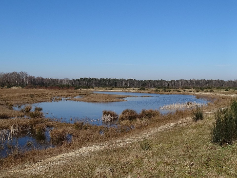 particuliere thuiszorg noord-brabant