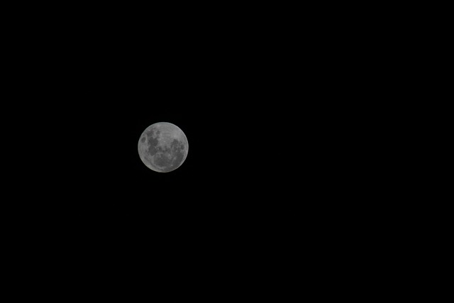 Free Moon Night photo and picture