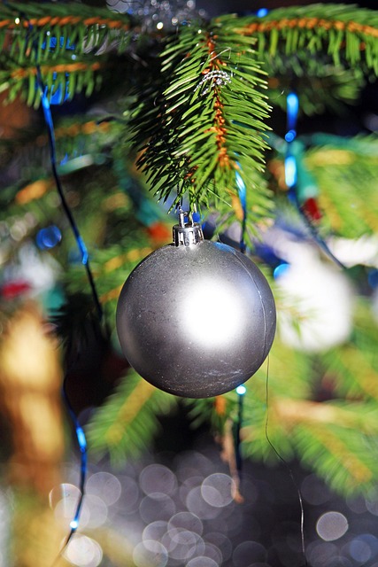 Ornament, Jul, Julepynt, Nåle, Træ, Lys
