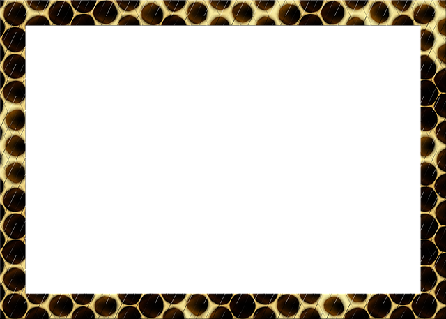 Free frame photo frame digital illustration