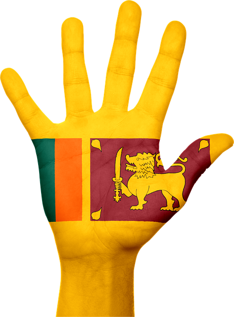 Free sri lanka flag hand illustration