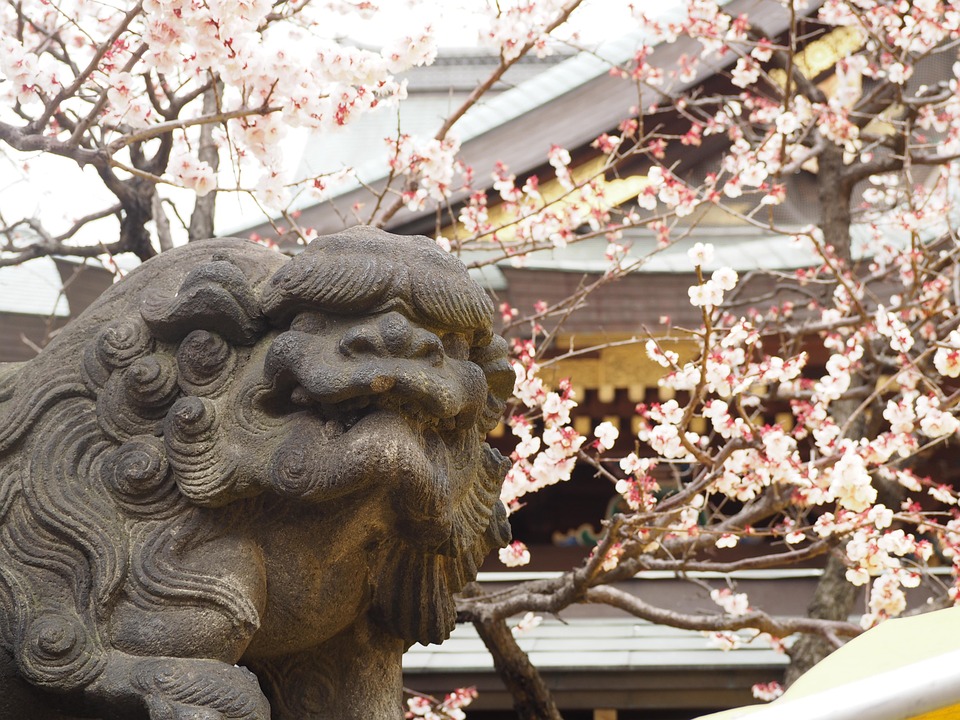 狛犬 神社 梅 Pixabayの無料写真