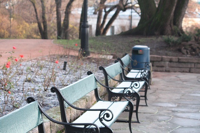 Free Bench Scenic photo and picture