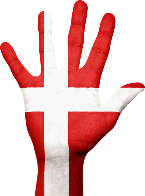 Free denmark flag hand illustration