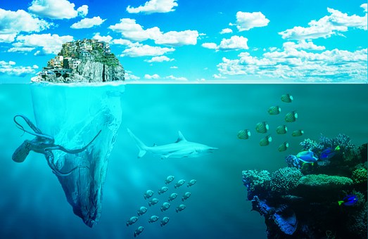 Meer, Fische, Natur, Krake, Insel