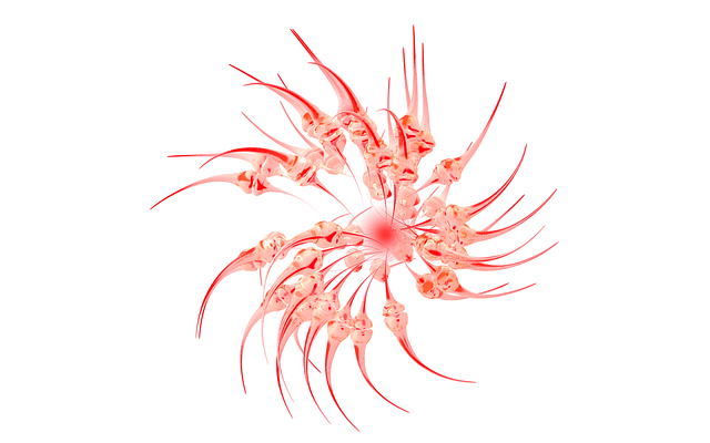 Free Seeds Abstract illustration and picture