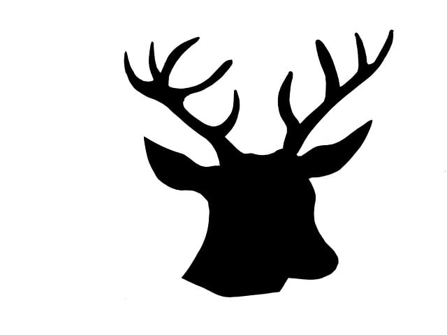 Tier Hirsch Hirschkopf · Kostenloses Bild auf Pixabay Tier Hirsch Hirschkopf · Kostenloses Bild auf Pixabay