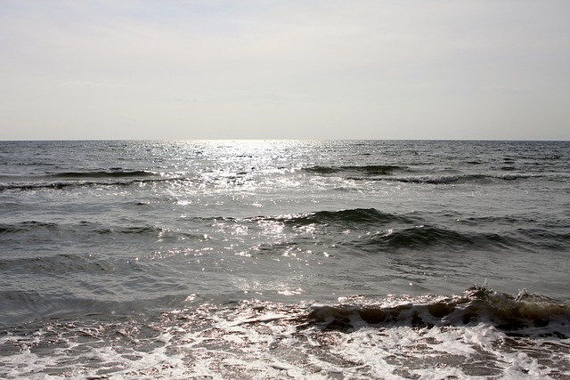 Free Sea Waves photo and picture