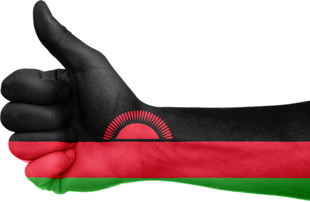 Free malawi flag hand illustration