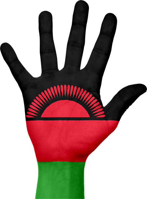 Free malawi flag hand illustration