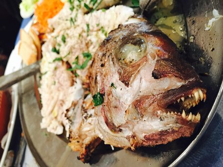 Free Fish Grilled photo and picture
