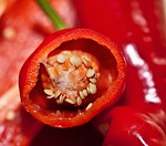 paprika, fruit, the inside of the peppers