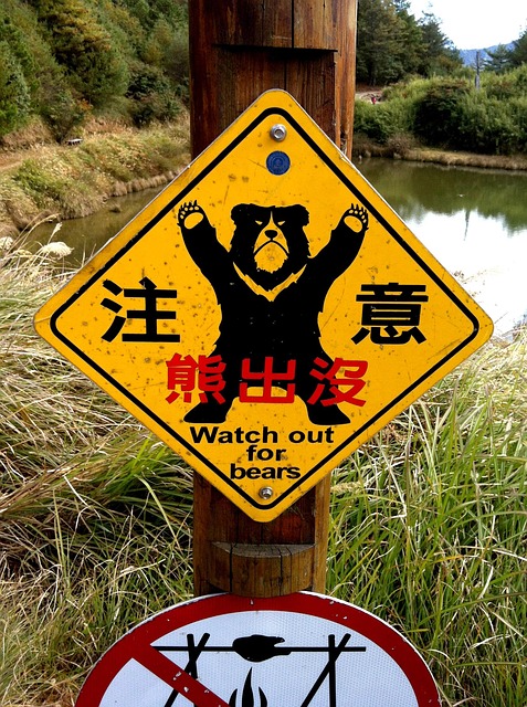 Free Street View Warn photo and picture