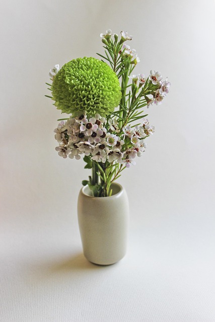 Free Chrysanthemum Chinese Style photo and picture