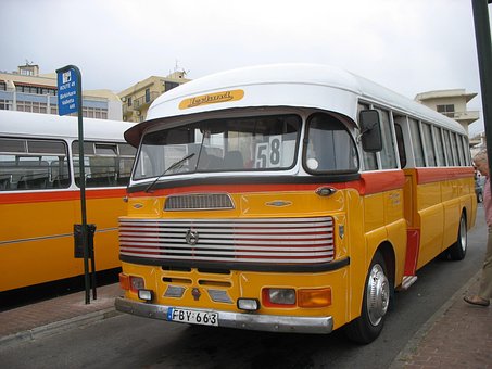 Autobuz, Malta, Vehicul