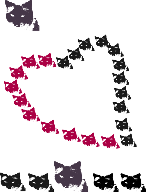 Free design color decoration illustration