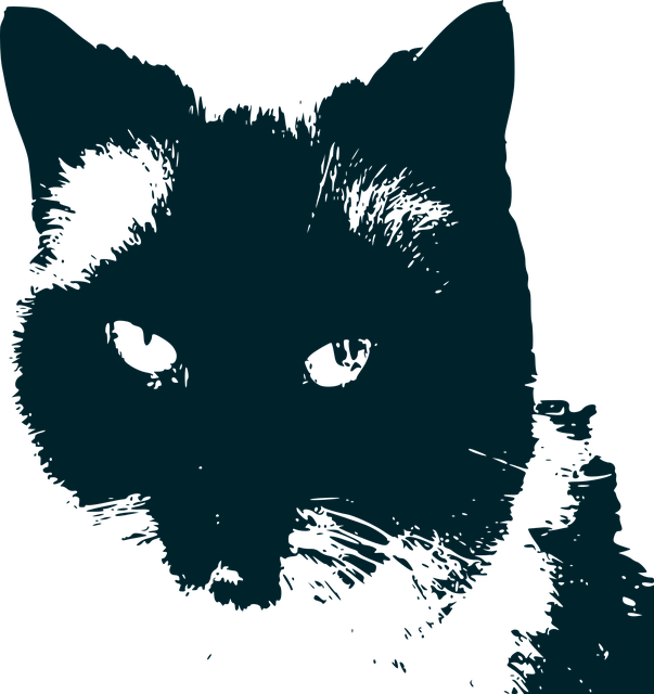 Free cad nature design illustration